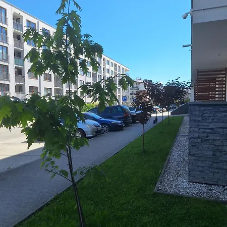 Gorska Szarotka Daire