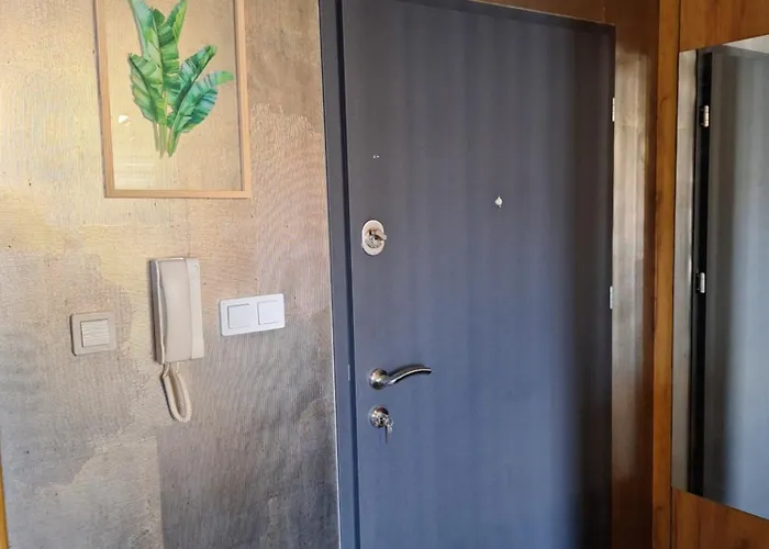 Górska Szarotka Nowy Targ