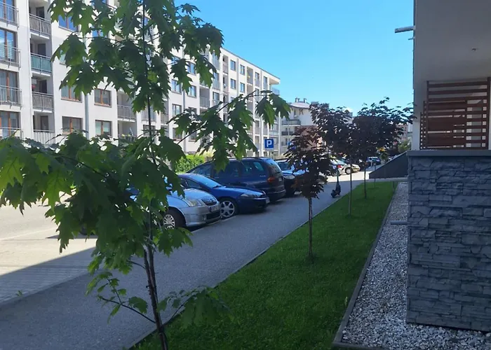 Górska Szarotka Apartament